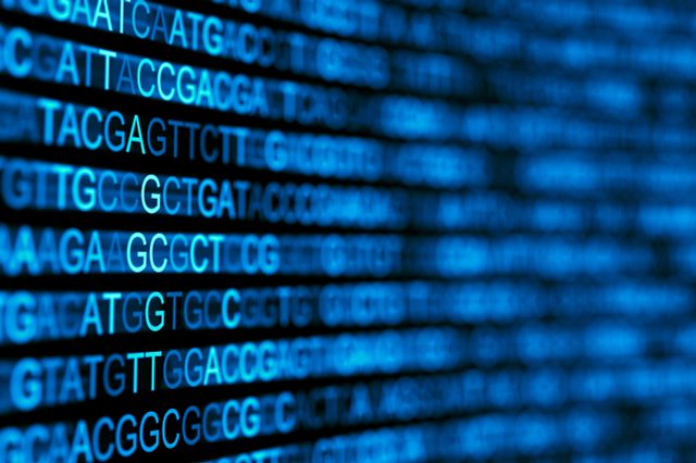 Next Generation Sequencing for Bacterial Identification and Fungi Idenitifcation is a massively parallel sequencing technology offering high-throughput, scalability, and efficiency.
