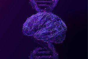 A computer graphic image of a brain overlaid a piece of DNA strand