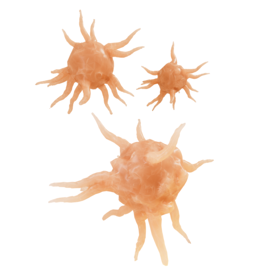 Watercolor of platelets