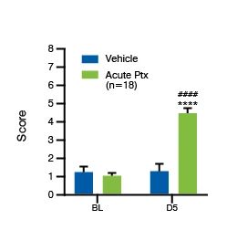 Paclitaxel Induced Polyneuropathy Validation Data. Bar chart showing the mean ACT scores of the Acute Ptx Model.