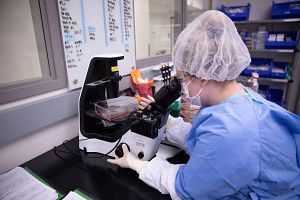 Scientist in a lab and using a microscope on characterization and release testing for AAV therapies