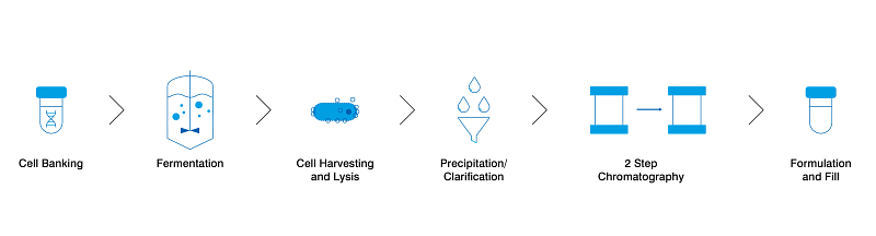 Plasmid DNA Production Process - cell banking, fermentation, cell harvesting and lysis, precipitation/clarification, two step chromatography, formulation and fill