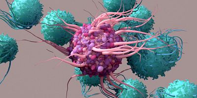 Clinical biomarker study design support.