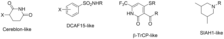 Structural motifs that comprise the Charles River molecular glue degrader screening collection