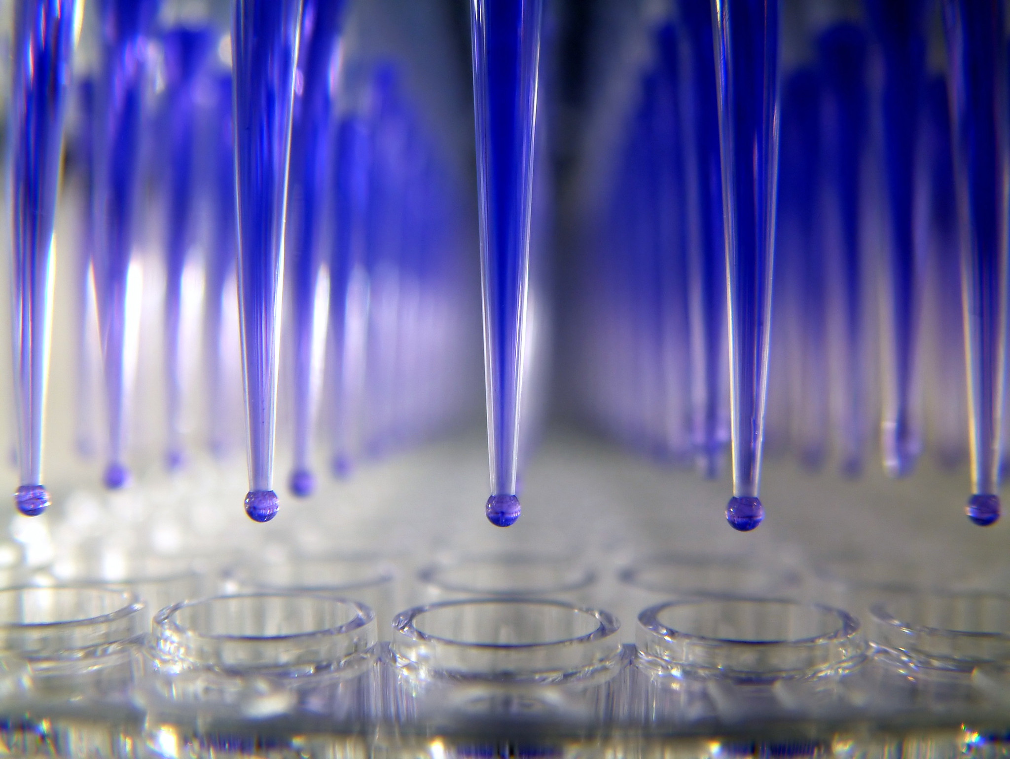 Automation in lab equipment biotechnology multi-channel microplate microtiter laboratory used in non-clinical safety studies