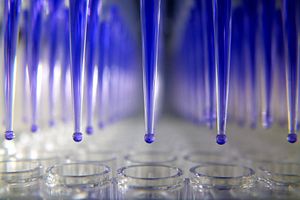 View of autopipetting in microtiter plate