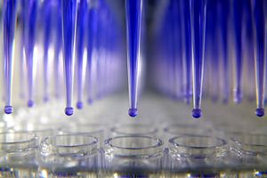 Pipettes used for AAV testing