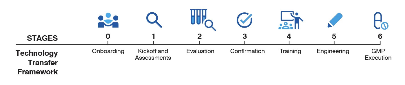 Illustration involved in the cell therapy technology transfer.