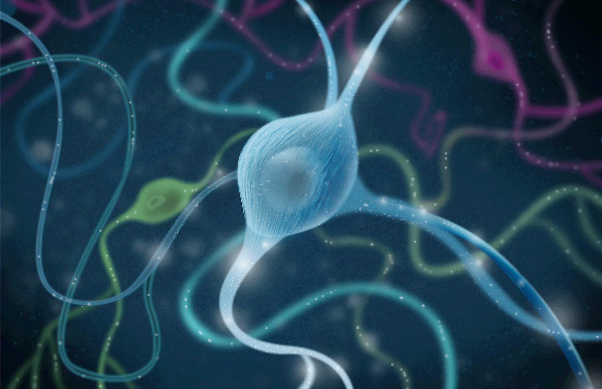 digital rendering of a nerve cell
