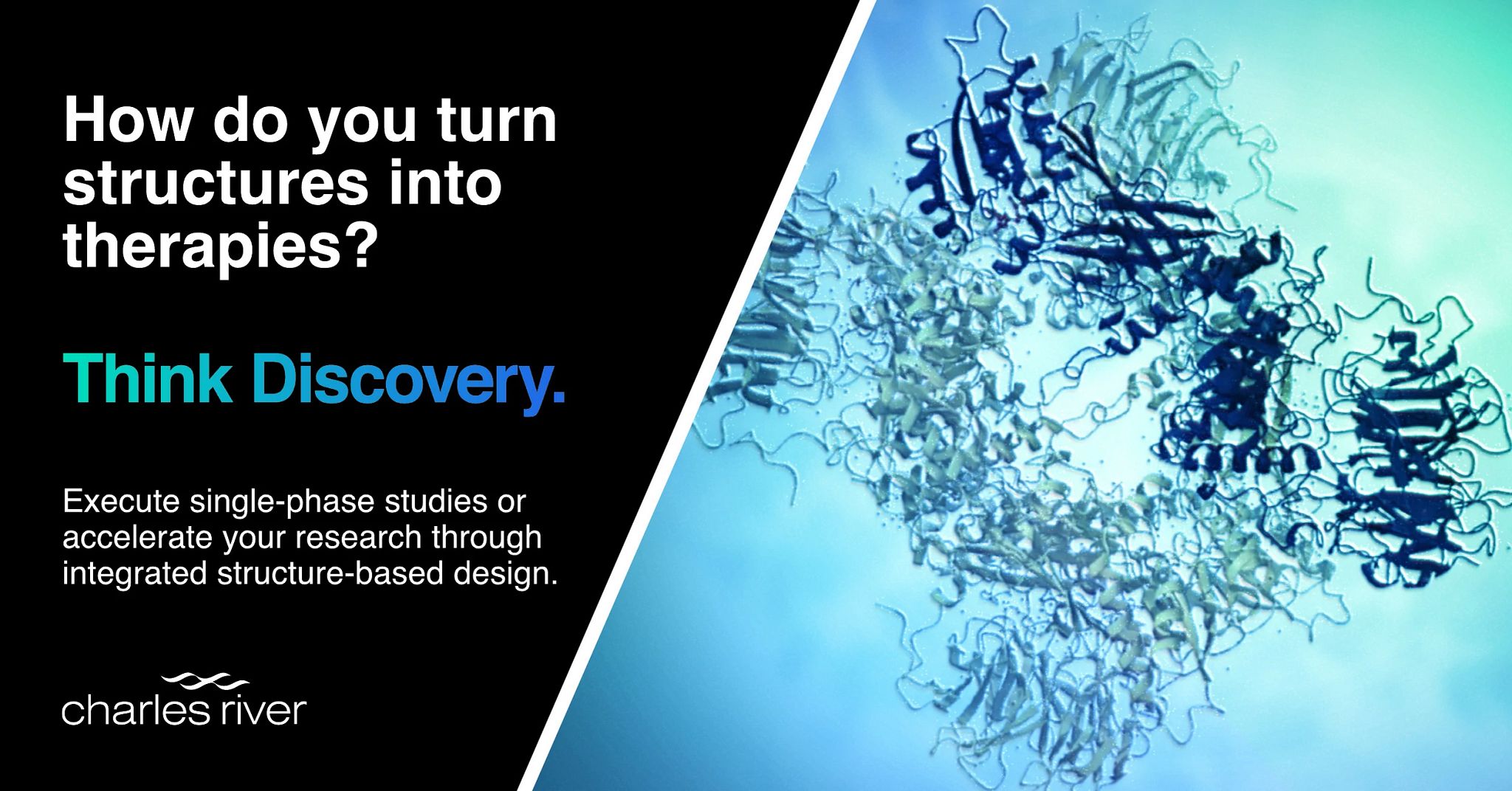 Structural Biology - Think Discovery