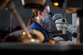 scientist using microscope