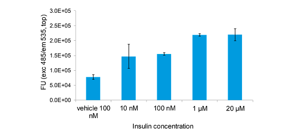 Insulin concentration