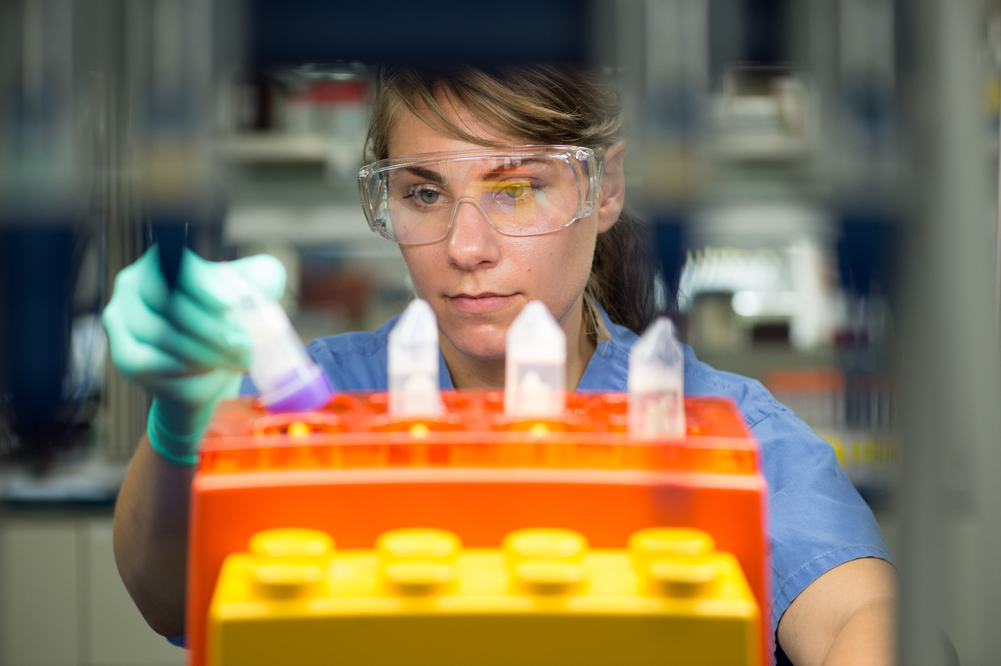 Scientist holding tube and working in laboratory.