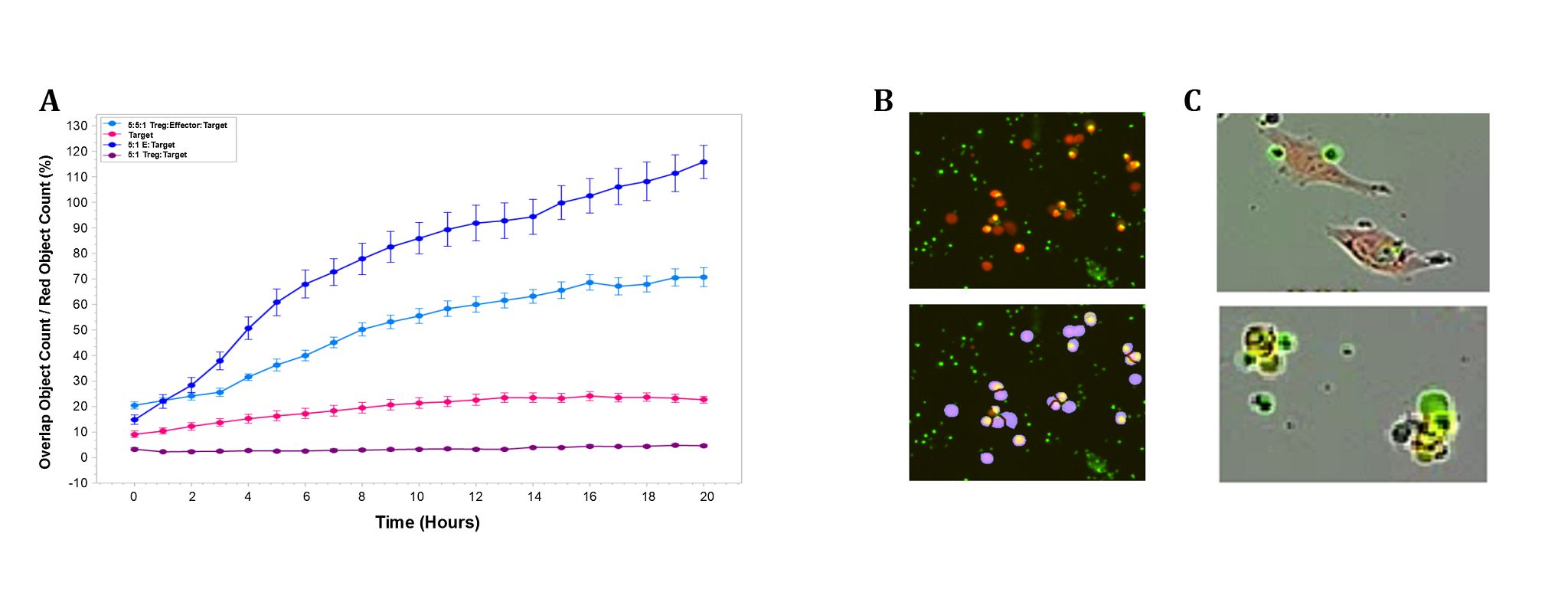 Suppression_Tregs_Figure 3.jpeg