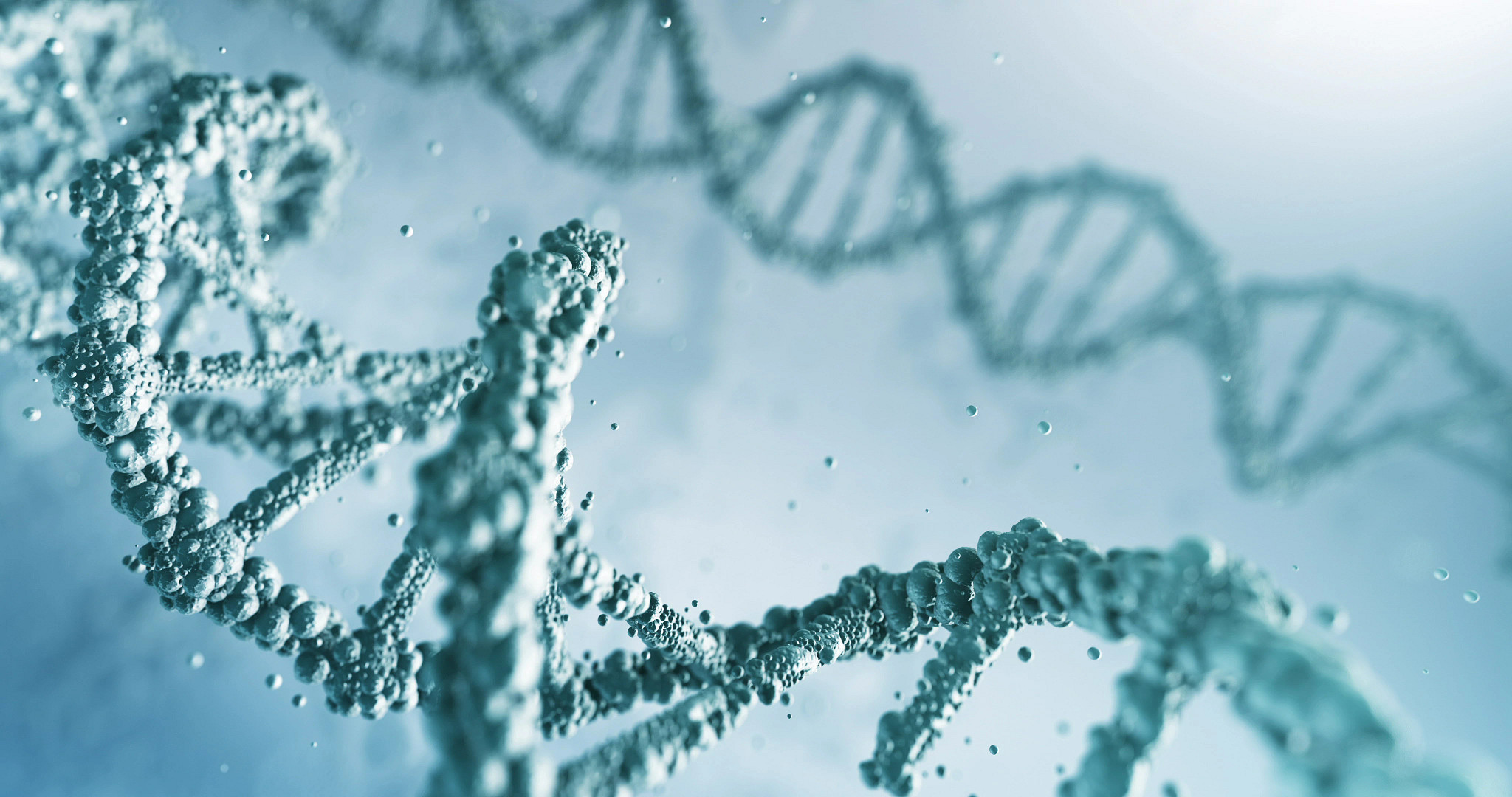 rendered depiction of the human DNA