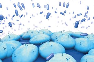 eGuide for Off-Target Screening via the Retrogenix® Platform