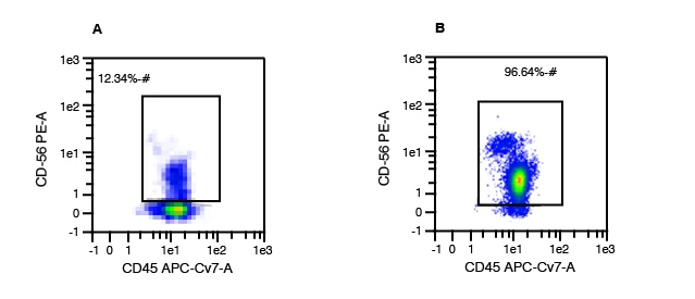 Charts showing sample of WBCs, with human NK cells making up 12.34% of the WBC population and a representative data set with a purity of 96.64% NK cells post immunomagnetic separation.