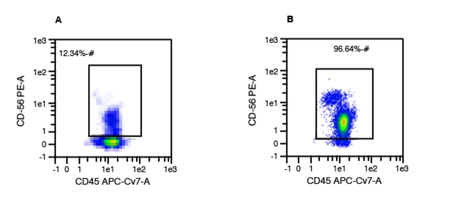 Charts showing sample of WBCs, with human NK cells making up 12.34% of the WBC population and a representative data set with a purity of 96.64% NK cells post immunomagnetic separation.