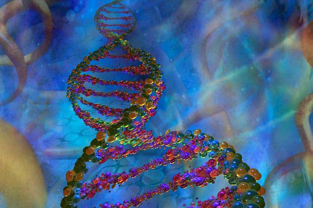 顕微鏡写真、DNA