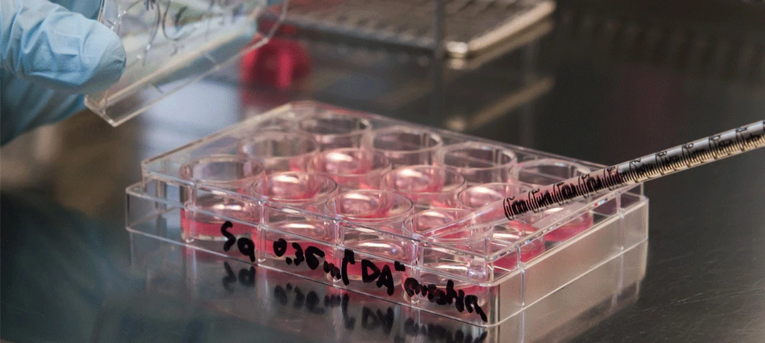 vials being used in GLP-1 Potency testing