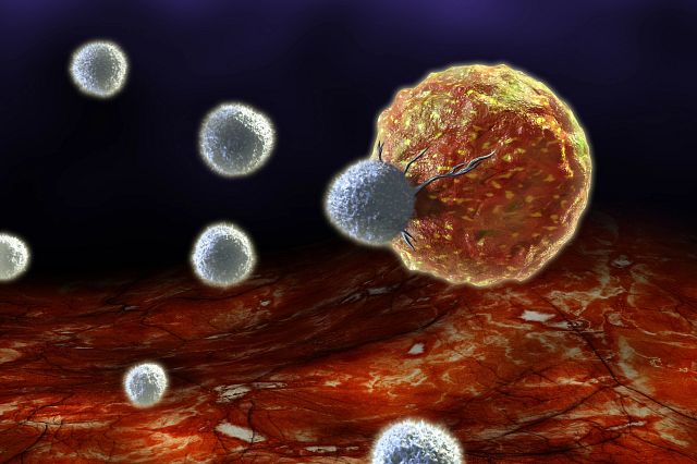 Digital illustration of T cells attacking a cancer cell.