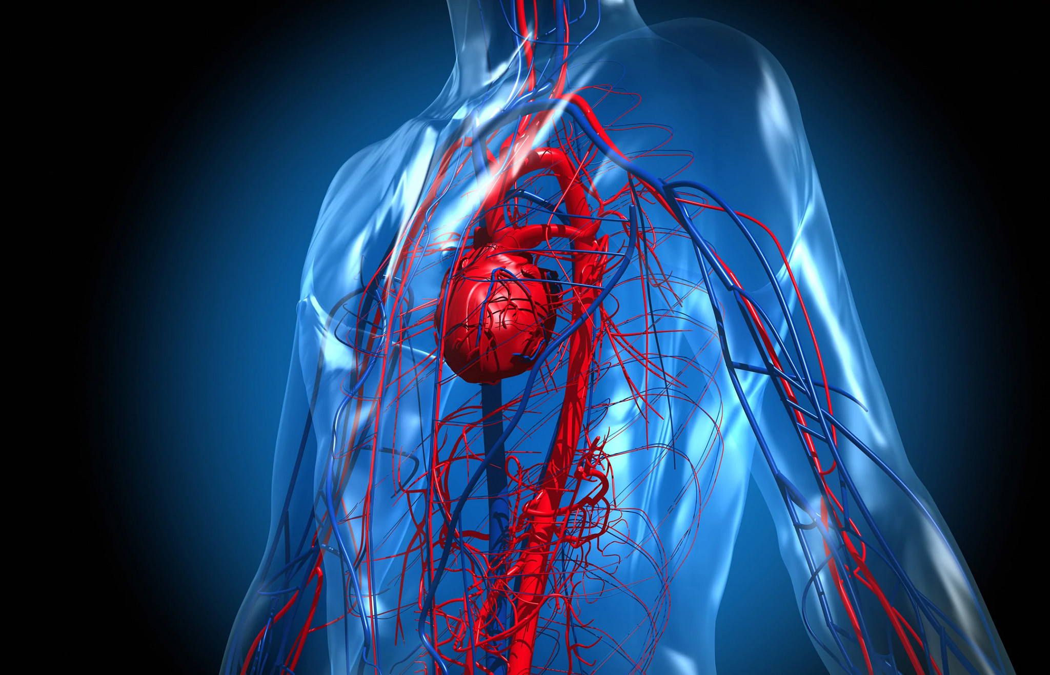 cardiovascular health initiatives supporting heart disease prevention