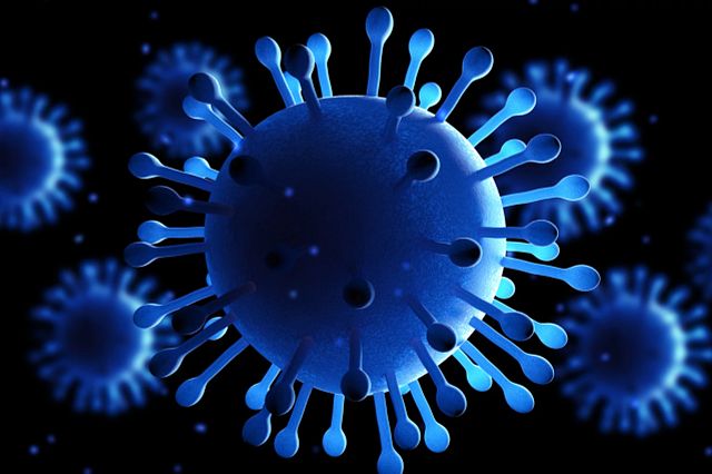 image of a virus