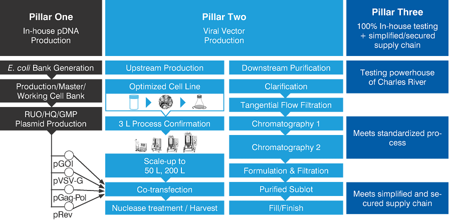 The three pillars of Charles River’s lentivirus production platform including pDNA production, predictable LVV production services, and in-house testing to cut time to clinic and simplify complex CGT supply chains.