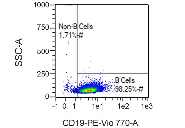 In Panel A, CD19 is targeted for immunofluorescent labeling to identify and characterize the human B cell population present in a fresh leukopak collection.