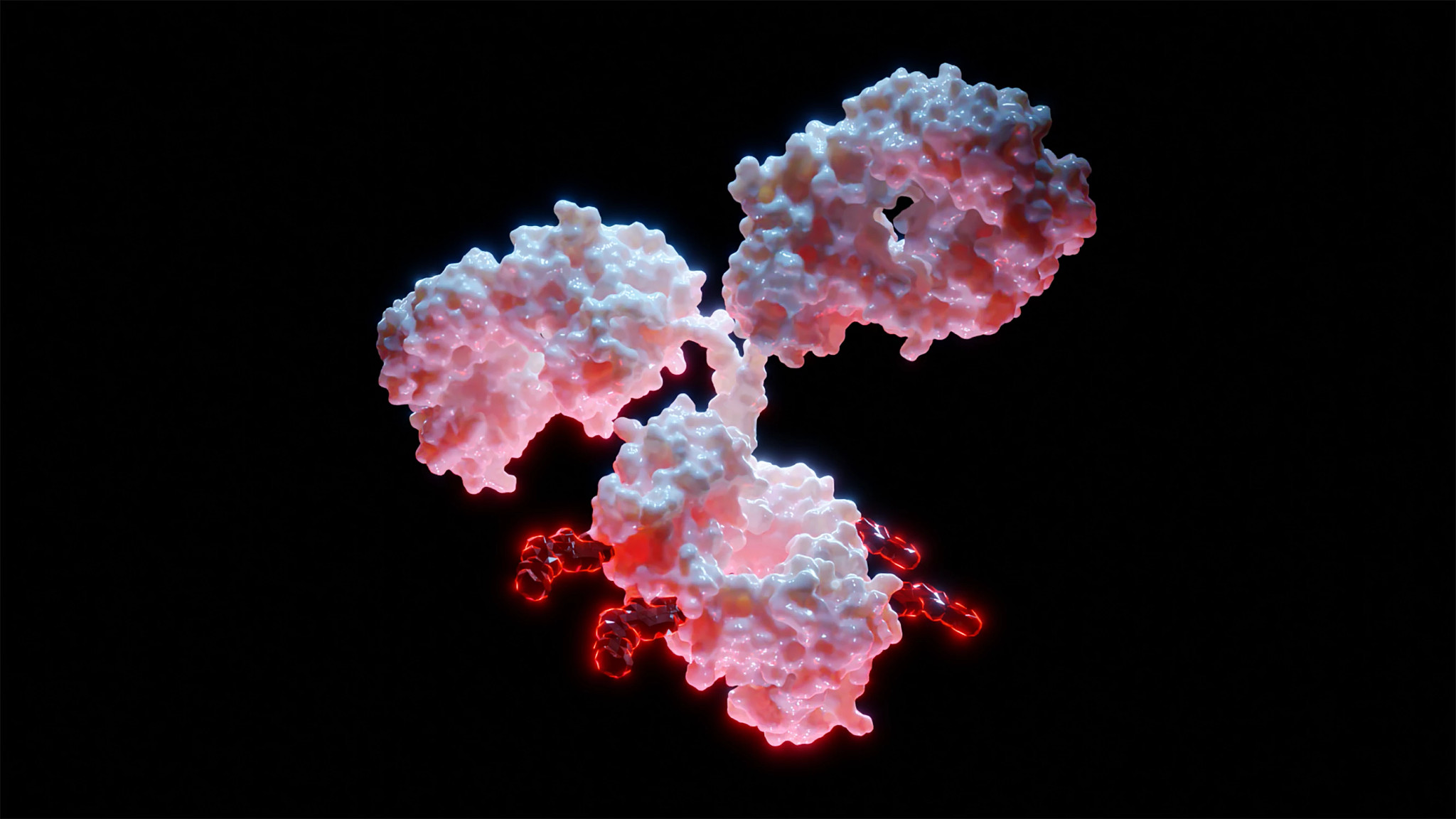 Illustration of Antibody-Drug Conjugates