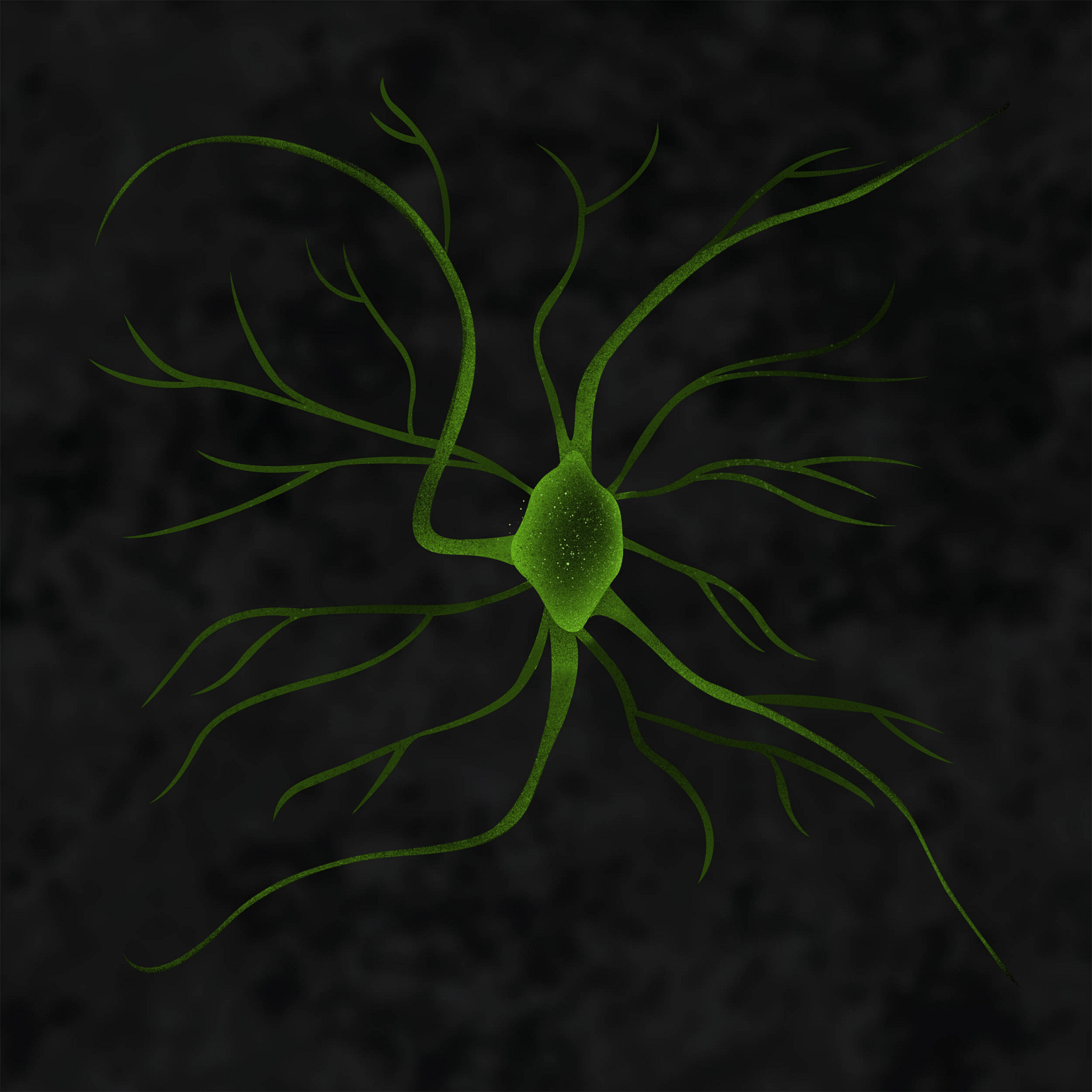 Neuroscience Illustration of hd gabaergic