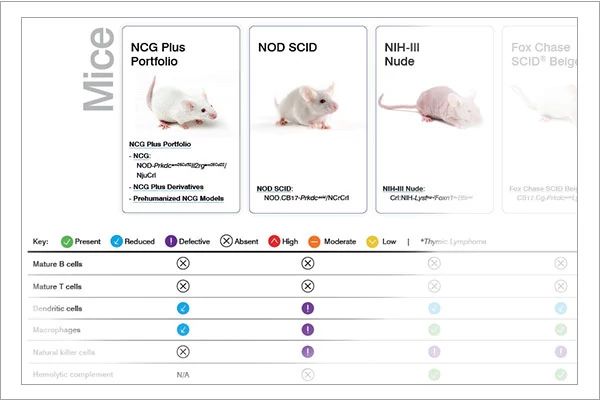 Immunodeficient Rat and Mouse Models poster