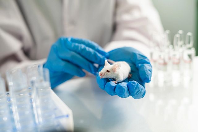 lab technician holding a white mouse