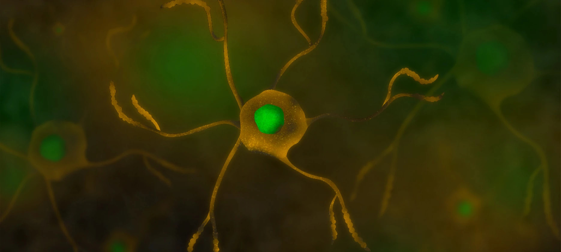 abstract ditial rendering of microglia