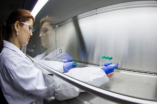 scientist pipetting induced pluripotent stem cells