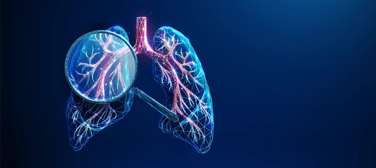 Illustration of lungs with a magnifying glass to represent inhalation toxicology