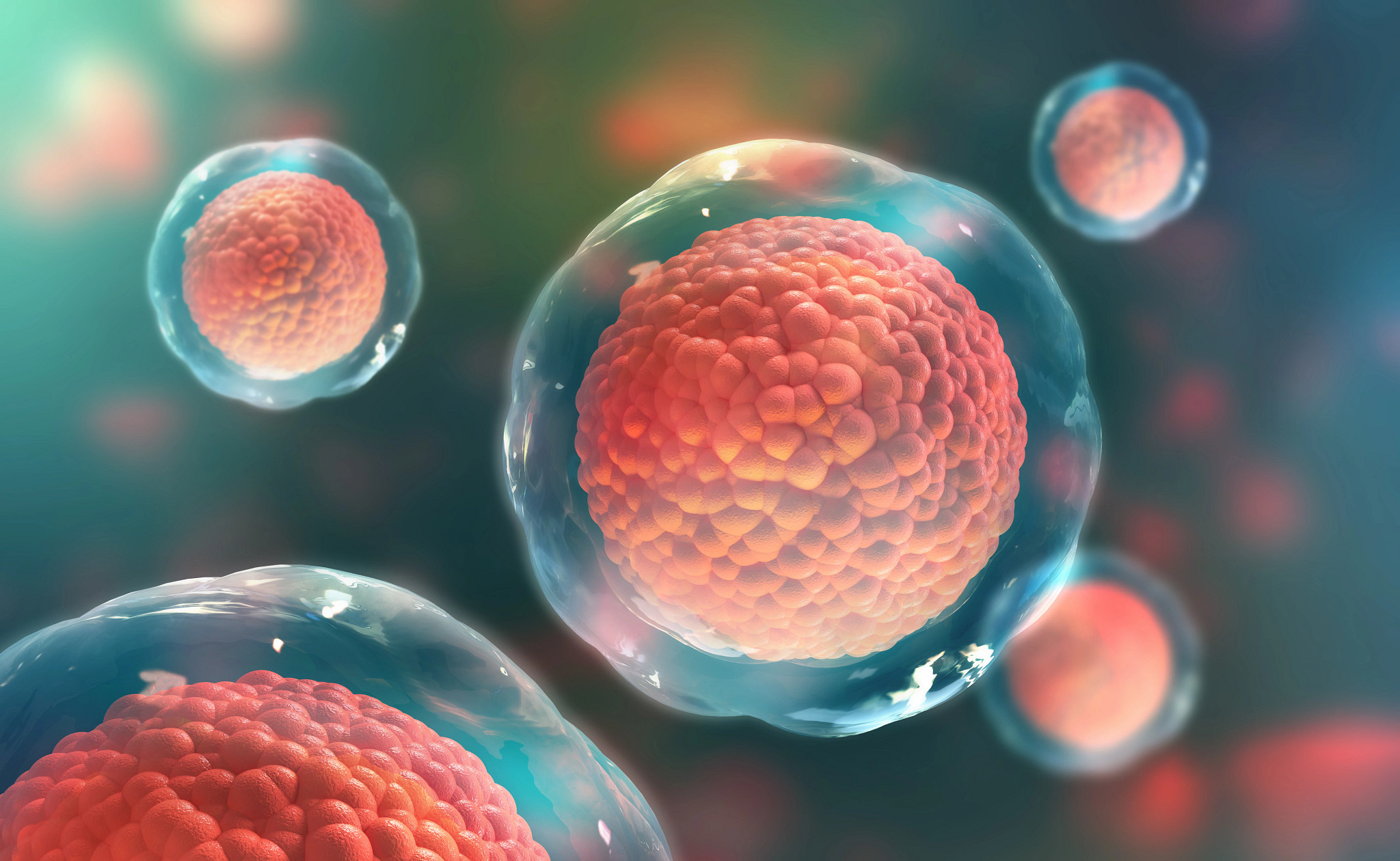 3D rendering of stem cells