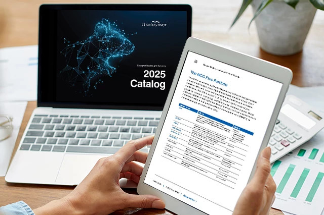 2025 research models and services catalog image displayed on a laptop