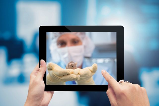 Animal technician holding mouse looking into a camera on an ipad