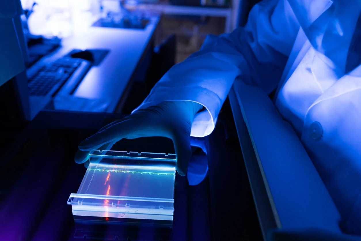 Protein Production Services