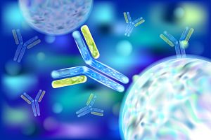 B cell assays