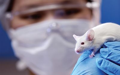 laboratory technician holding research modele