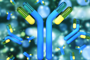 a monoclonal antibody molecule