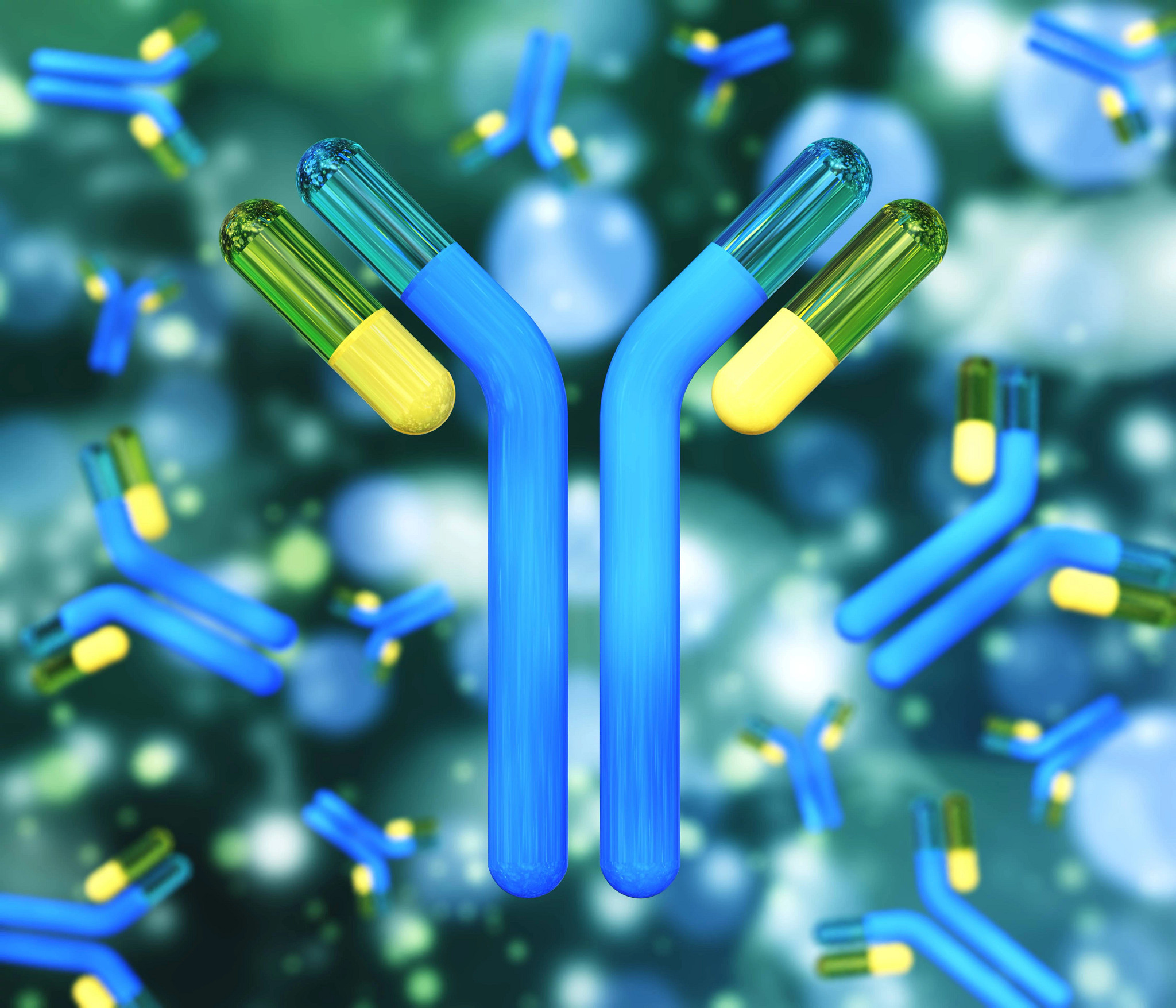 Blue, yellow, and green antibodies representing antibody characterization for in vitro antibody validation.