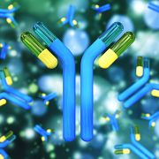 Blue, yellow, and green antibodies representing antibody characterization for in vitro antibody validation.