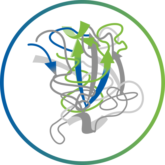 Single Domain (VHH) Libraries