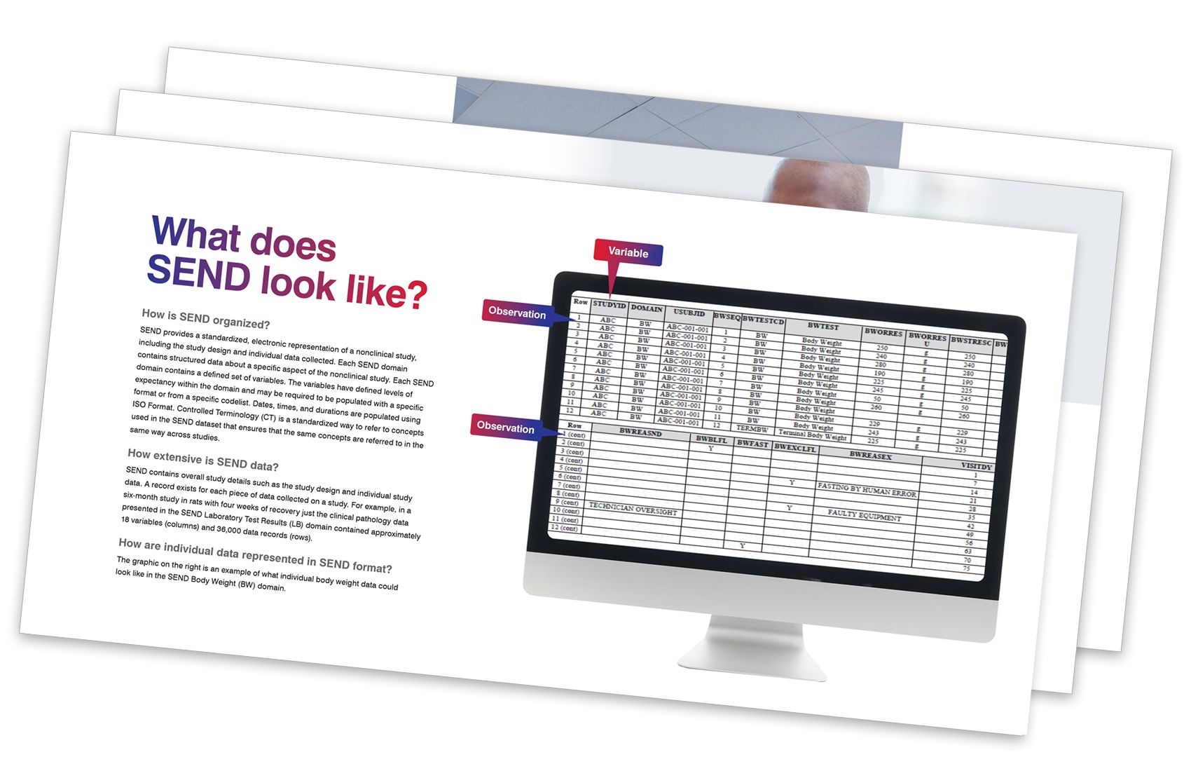 eBook thumbnail explaining SEND data format with example tables displayed on a computer screen.