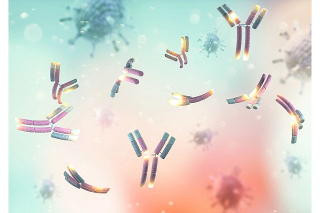 digital rendering of a monoclonal antibody