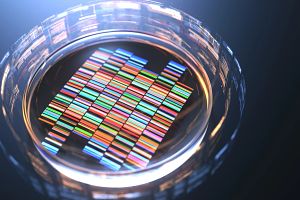 Illustration of DNA in a dish.