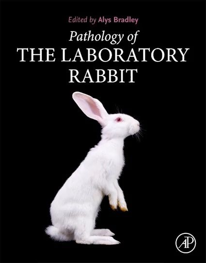 RABBIT BOOK COVER IMAG.jpeg